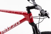 Kolo ROZZO 25 PEAK 15 erven/bl